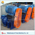 Light Mini Mini Belt Driving Slurry Pump